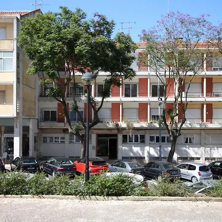 Cozy - Your Away Amadora